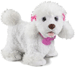 Puppy Grows - Poodle Suppliers & Prices
