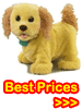 Click Here For Puppy Grows