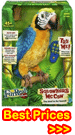 Squawkers McCaw - Talking Parrot