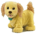 Puppy Grows - Retriever Suppliers & Prices