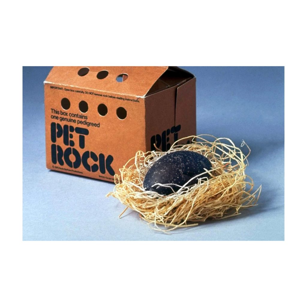 Pet Rock Novelty Toy Top 10 Christmas Toys 1975 quirky gag gift collectible craze
