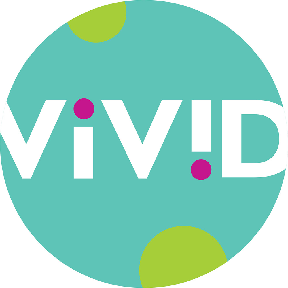 Vivid Toy Group Christmas Toys Logo
